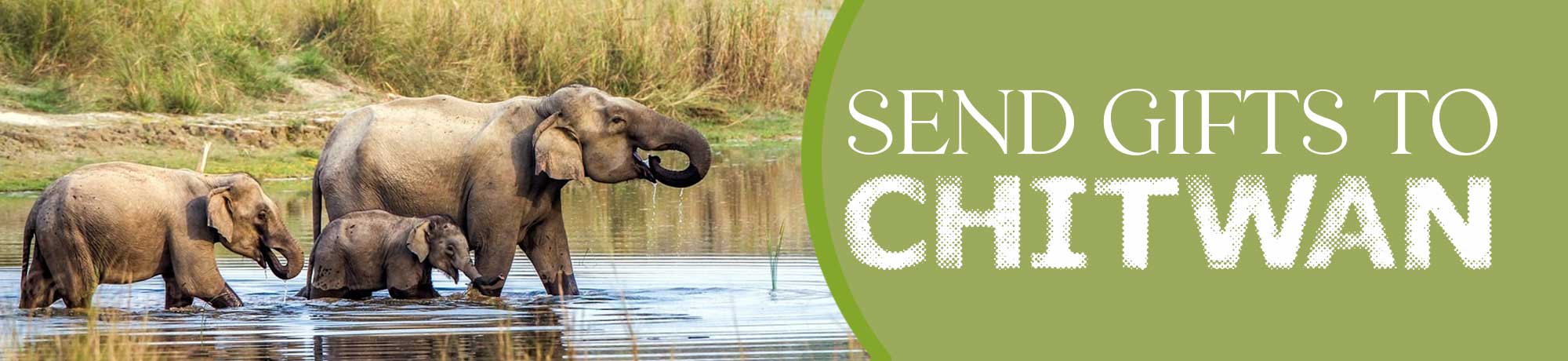 Send gifts to Chitwan