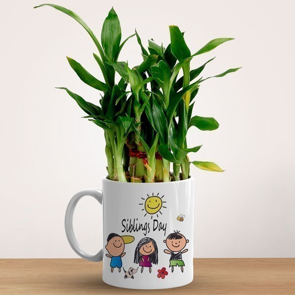 ceramic-mug-with-bamboo-plant-sibling.jpg