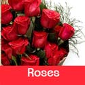 Valentine Roses Gift for Her in Nepal