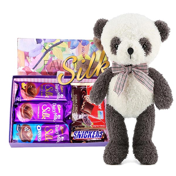 cute teddy with chocolate