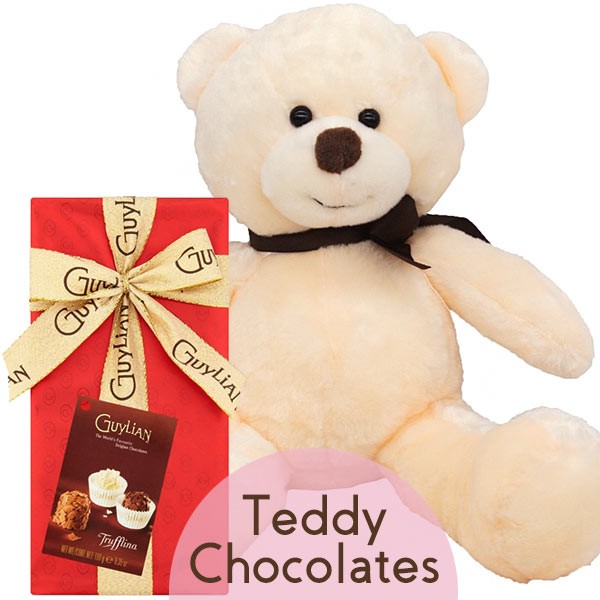 cute teddy with chocolate